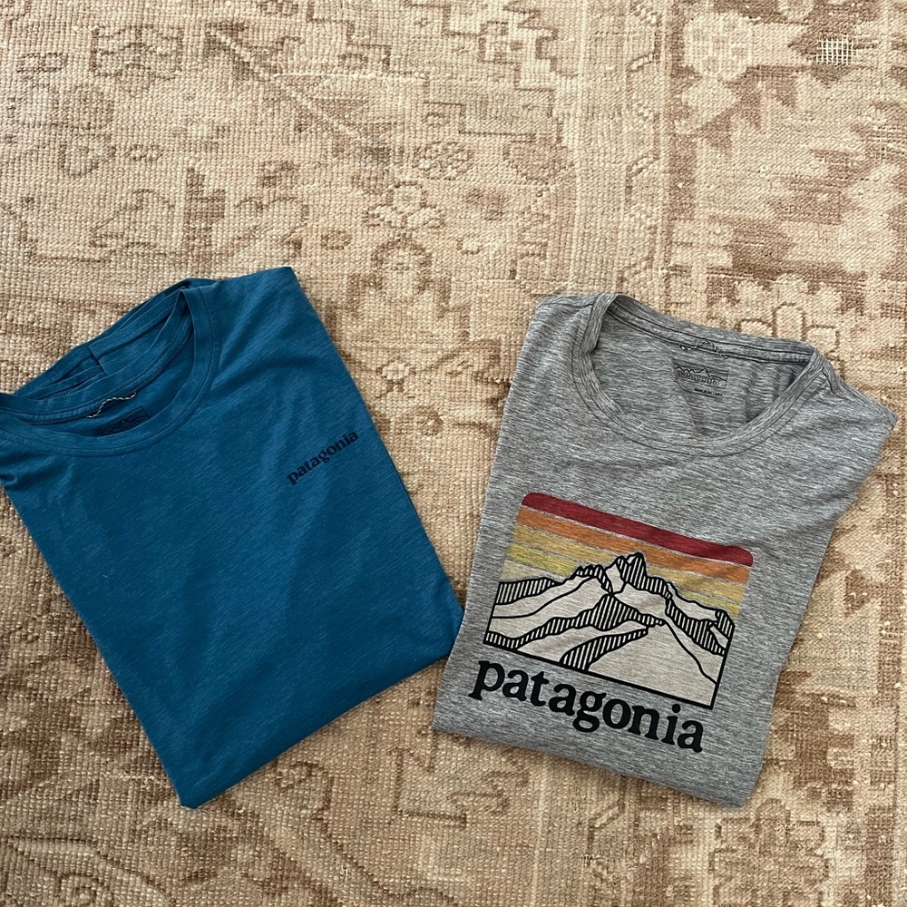 Patagonia Teal and Gray Graphic T-Shirts